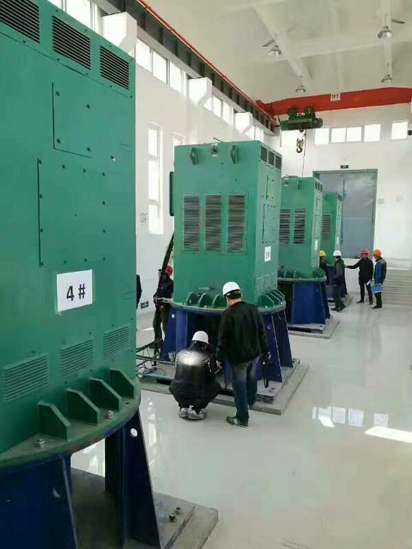 福田某污水处理厂使用我厂的立式高压电机安装现场